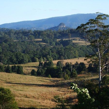 Grey Gum Lodge Nimbin Exterior photo