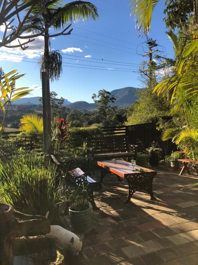 Grey Gum Lodge Nimbin Exterior photo