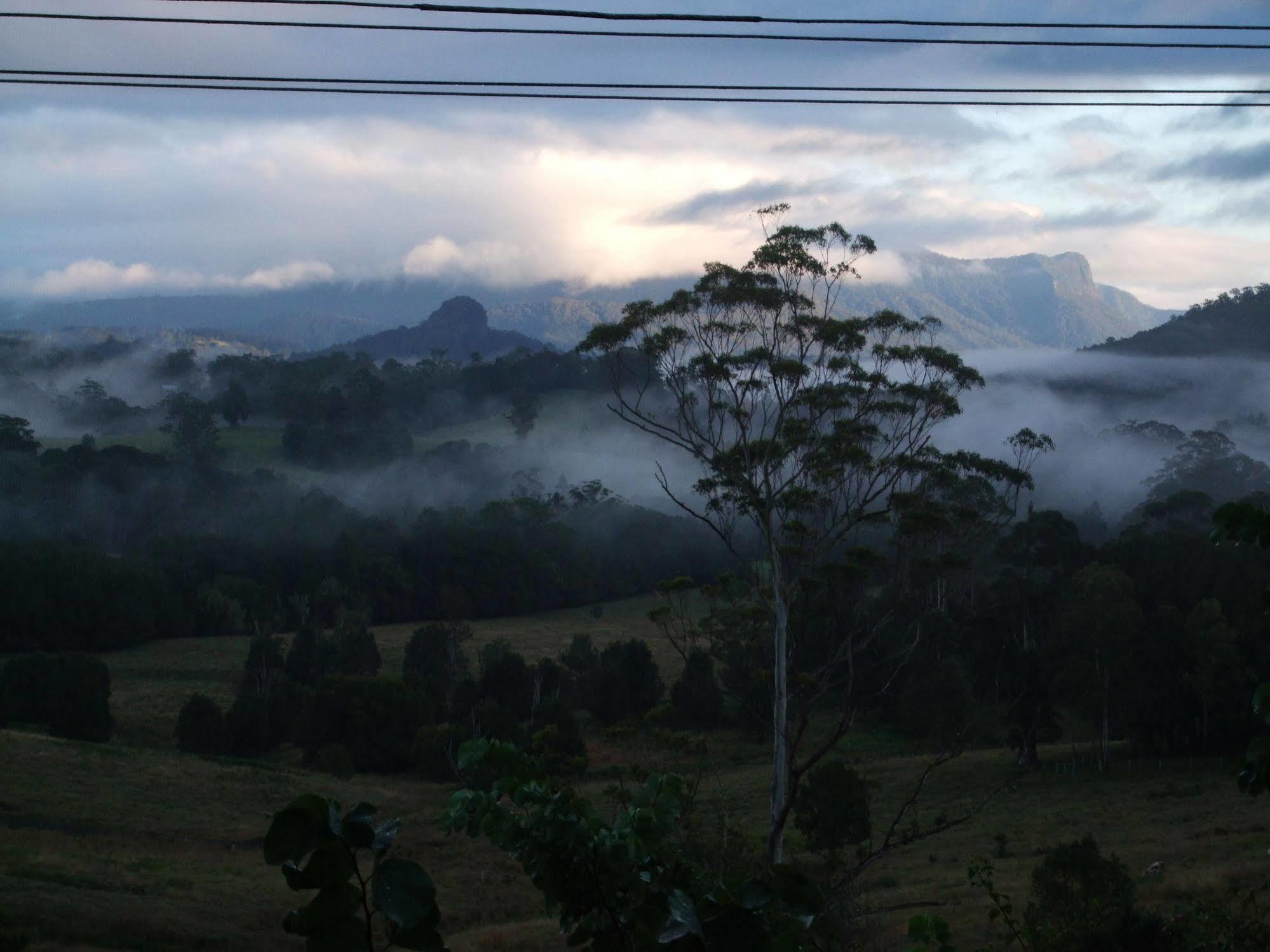 Grey Gum Lodge Nimbin Exterior photo